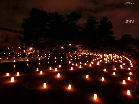 燈花会2015