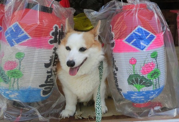 地蔵盆
