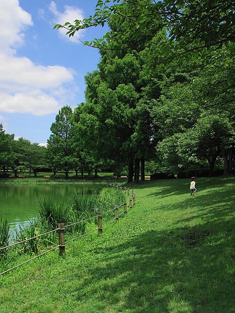 初夏に向けて