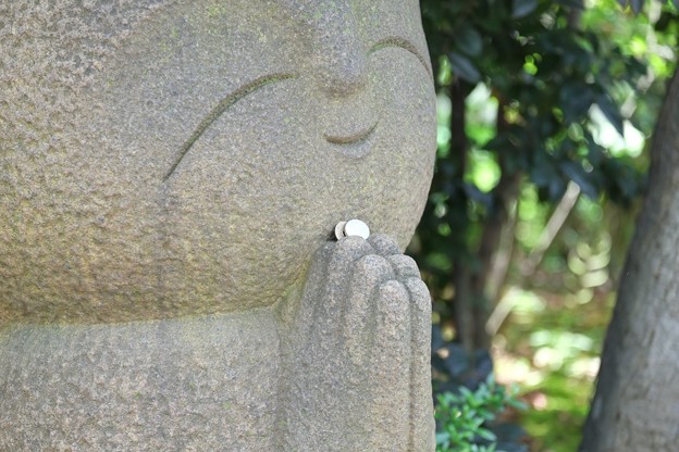 2015 06 10 鎌倉 長谷寺 和み地蔵 写真共有サイト フォト蔵