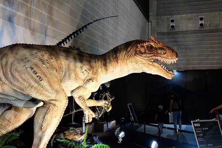 2015.07.27　2015 ヨコハマ恐竜博　アロサウルス　動く復元模型