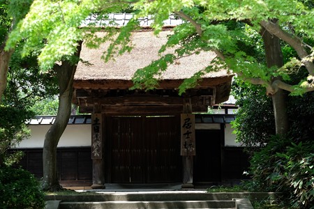 2015.08.09　円覚寺　居士林