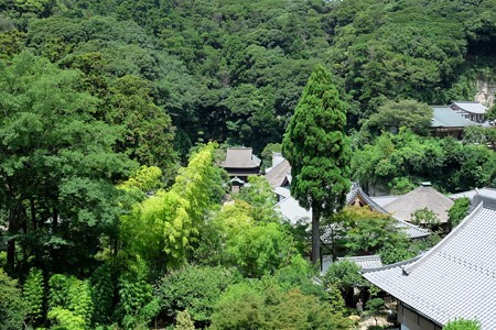 2015.08.09　円覚寺　如意庵から舎利殿