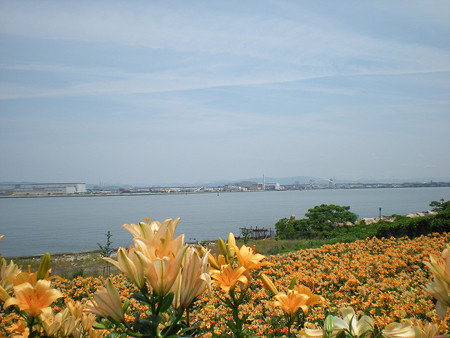 resize0156