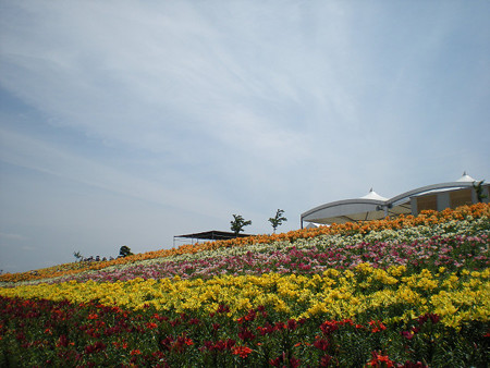 resize0157