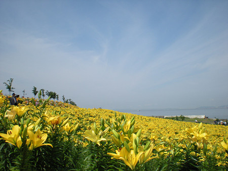 resize0159