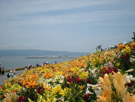 resize0158