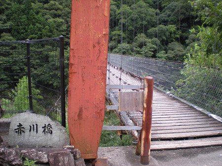 resize0243
