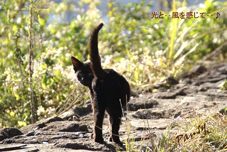 湖畔にて・・13