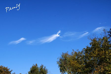 雲が素敵だった日・・