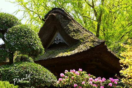 報国寺・・12