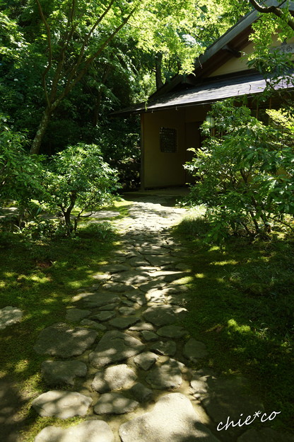 東慶寺~水無月-261