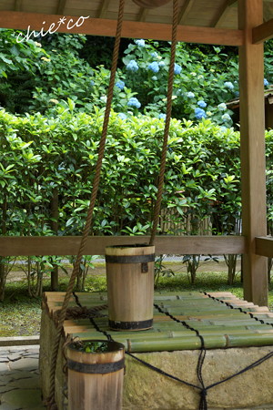 水無月の明月院-452