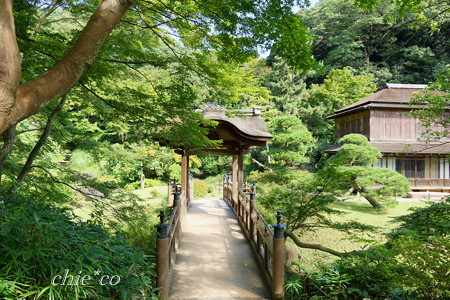 三渓園-377