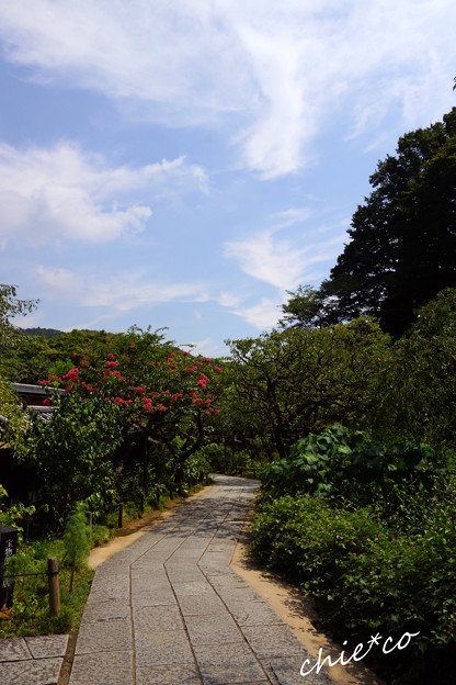 東慶寺-122