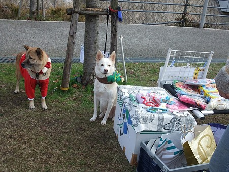 ツリーが・・・(^▽^;)