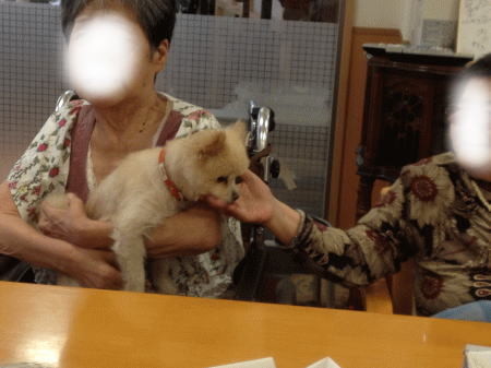 顔をぐっちゃぐちゃにして