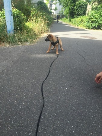 ビクビク・・・