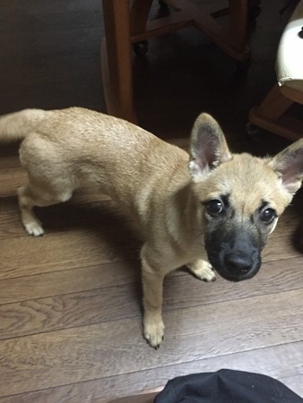 シャイでおちゃめな内弁慶ちゃん