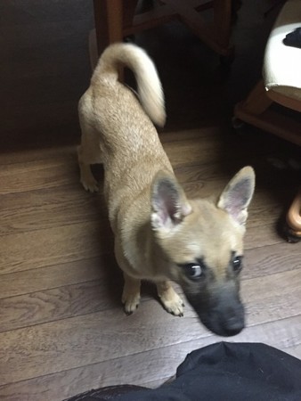 若葉ちゃん