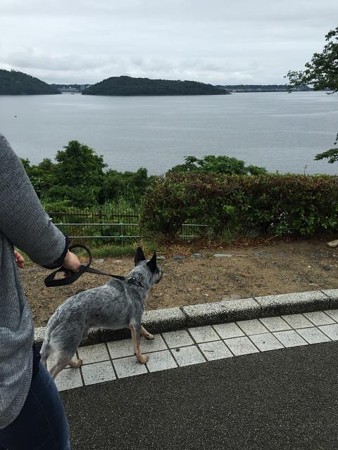 ここ、どこ??