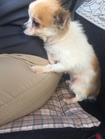 顔合わせないようにする・・・