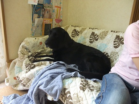 むっちゃリラックスしてるやん!