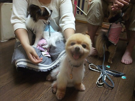満足そうなかんちゃん