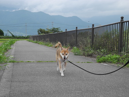 2015-08-21-07