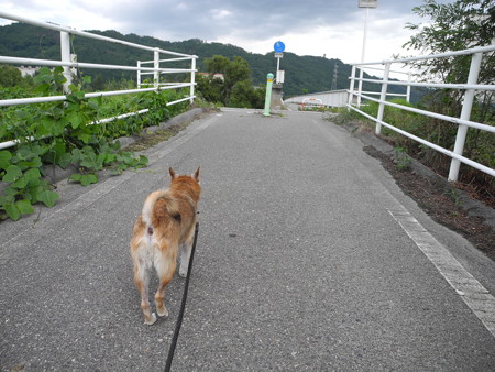 2015-08-21-14