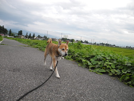 2015-08-21-18