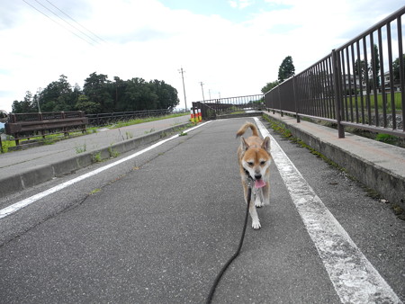 2015-08-22-13