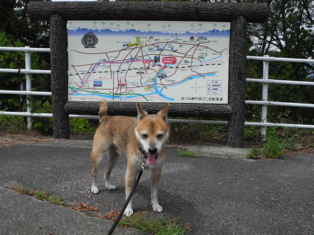 2015-08-22-19