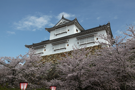 津山城 - 014