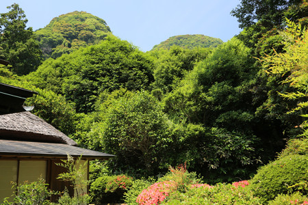 吐月峰柴屋寺 - 04