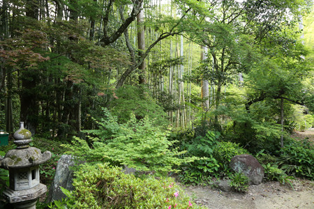 油山寺 - 05