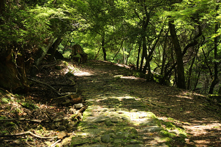 滝坂の道 - 02