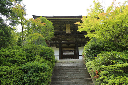 円成寺 - 04