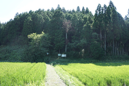 和田城 - 02