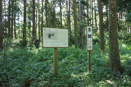 和田支城I - 04