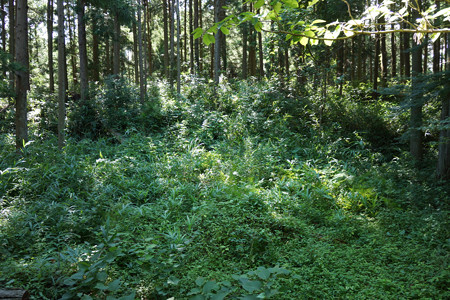 和田支城I - 05