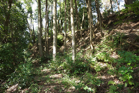 和田支城III - 01