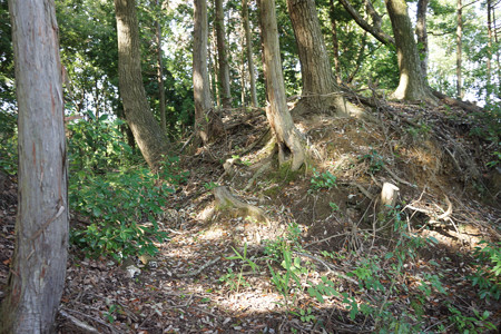 和田支城III - 02