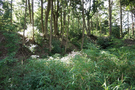 和田支城III - 04