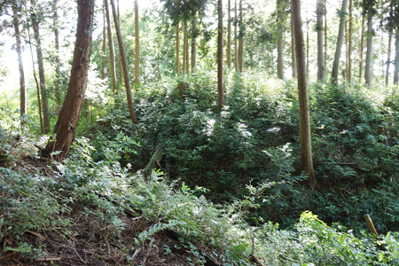 殿山城 - 02