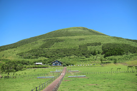 八丈富士牧場・ふれあい牧場 -04