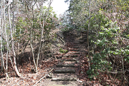桂城 - 5