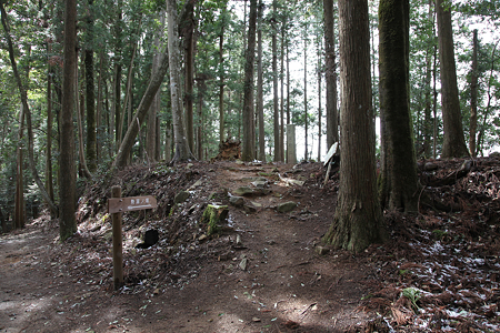 郡山城 - 06