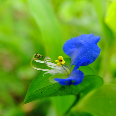 DSCF6988