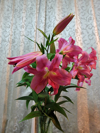 DSCF7218